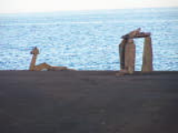 100_1629.jpg